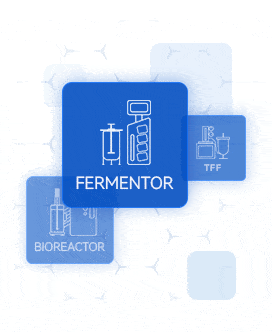 草莓视频APP在线观看,fermenter