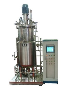 厭氧草莓视频APP在线观看