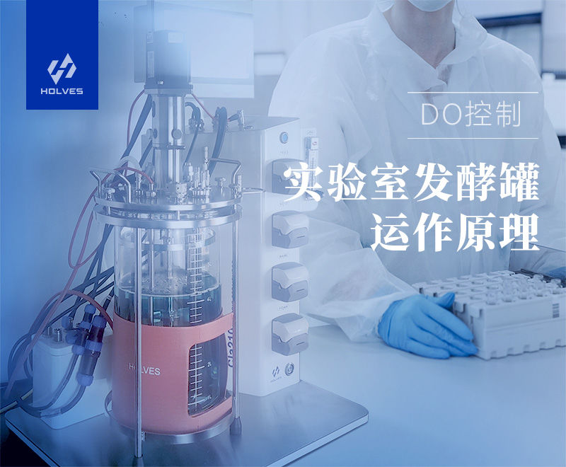 實驗室草莓视频APP在线观看
