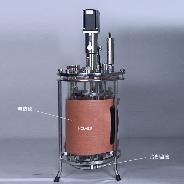 草莓污污污视频下载（HOLVES）實驗草莓视频APP在线观看