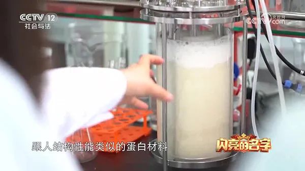 草莓视频APP在线观看