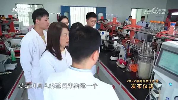 實驗室草莓视频APP在线观看