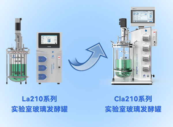 草莓污污污视频下载草莓视频APP在线观看升級 草莓污污污视频下载草莓视频APP在线观看升級