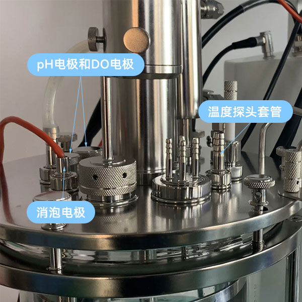 草莓视频APP在线观看傳感器